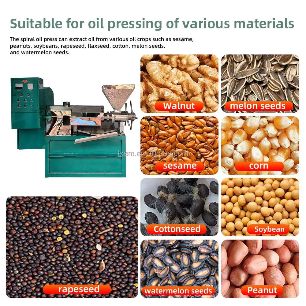 TX متعددة الوظائف النفط الصحافة طارد جوز الهند عباد الشمس الفول السوداني بذور اللفت كعكة آلة استخراج الزيت آلة الضغط البارد والساخن #3