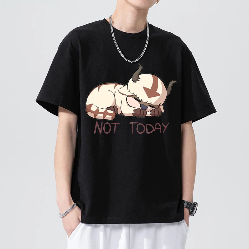 Fashion Mange T-shirt Avatar The Last Airbender Y2k Shirt Streetwear Appa Yip Casual Tshirt Hip Hop Harajuku Tees Tops Clothes