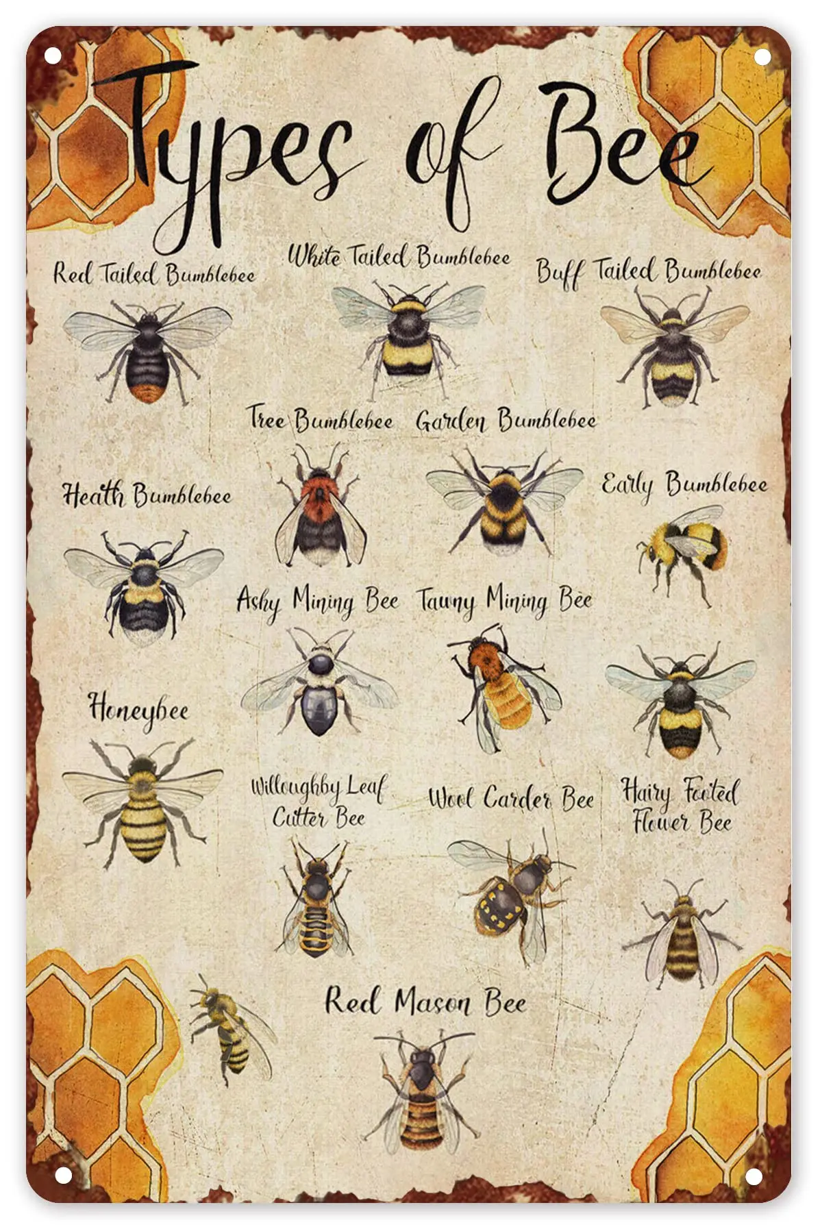 

Metal Decor for Table Metal Sign Types of Bee Retro Metal Tin Sign Home Kitchen Bar Room Garage Vintage Retro Poster Plaque 8x12