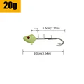 20g