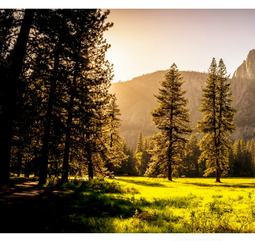 

JX PDI-1001MG микро сервопривод 1,5 кг цифровой сервопривод с металлической шестерней бессердечный двигатель 6,0 В для радиоуправляемых автомобилей вертолет гусеничный