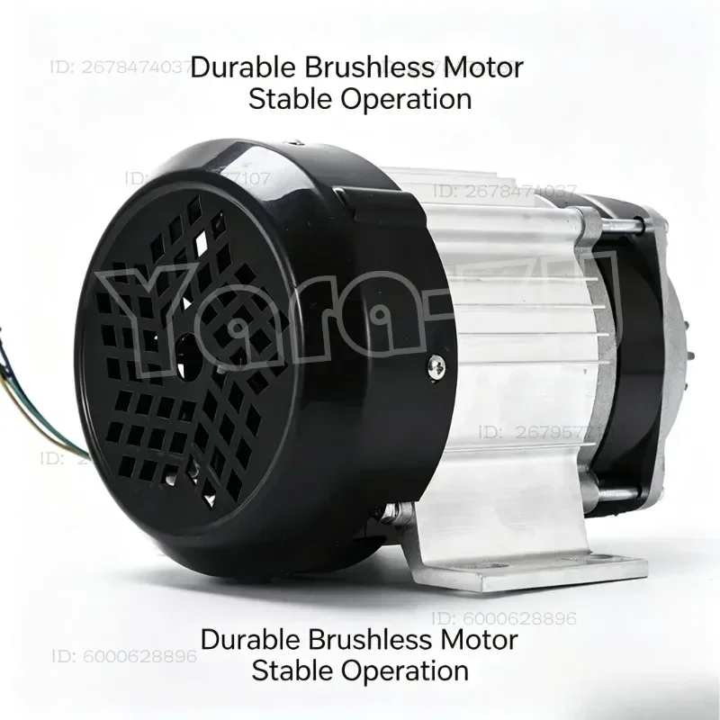 24V 500W Permanent Magnet Brushless DC Motor Electric Drive Motor For Heavy Load Cargo Electric Tricycle Three Wheeler