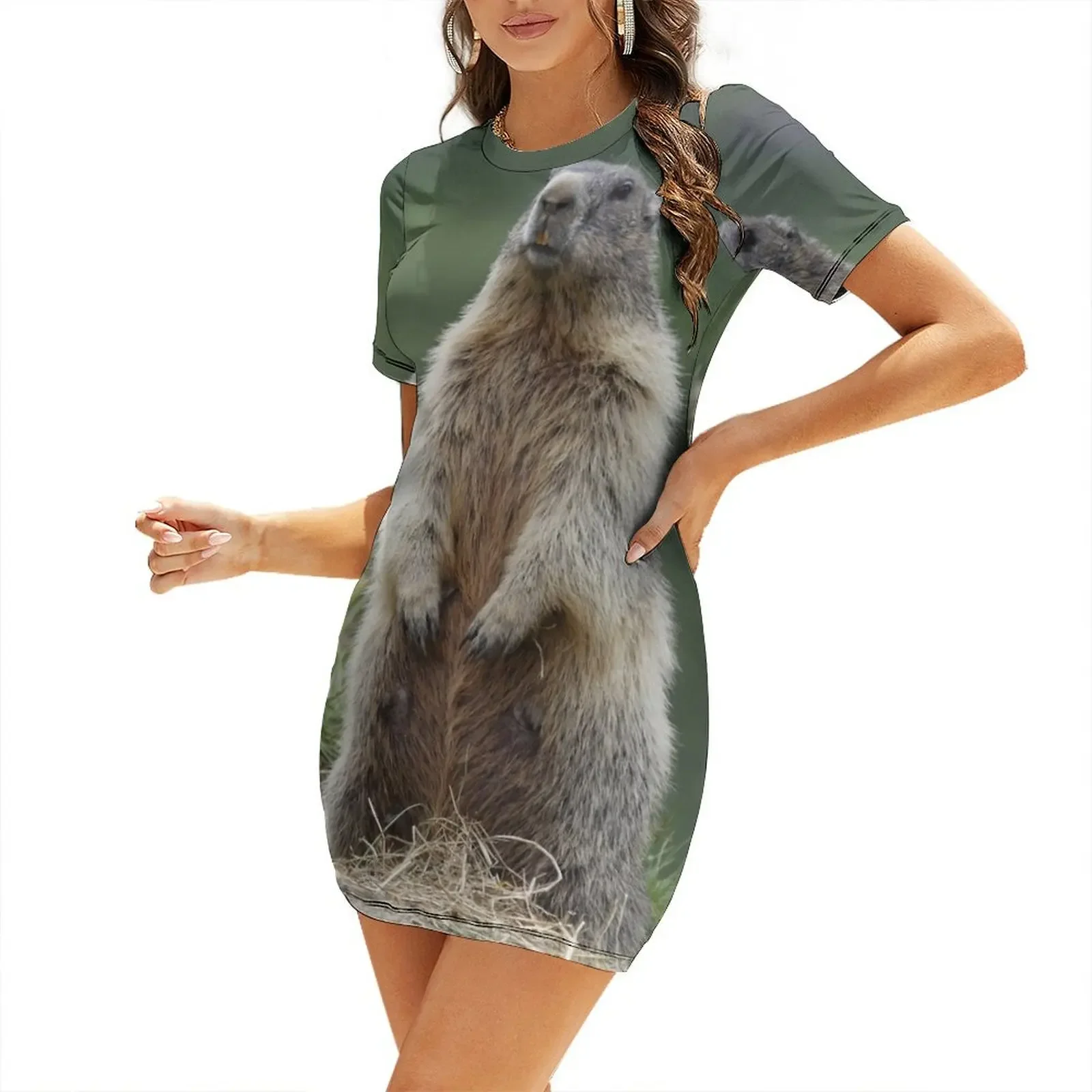 

Marmota marmota Short-Sleeved Dress dresses for woman 2026 women's summer dresses 2026 Dress women