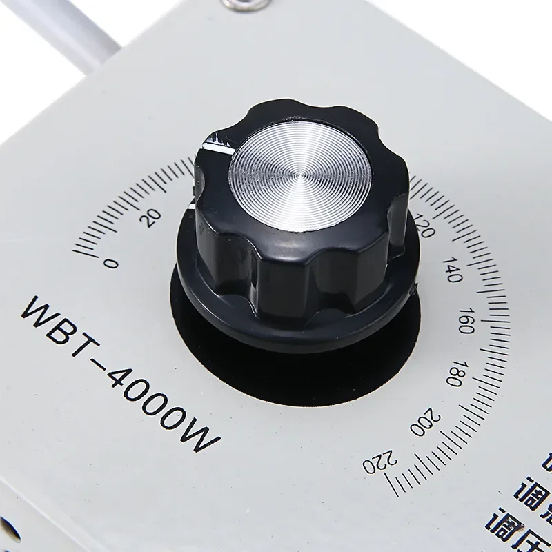 220V AC Motor Speed Controller 4000W Variable Voltage Controller for Fan Speed Motor Dimmer