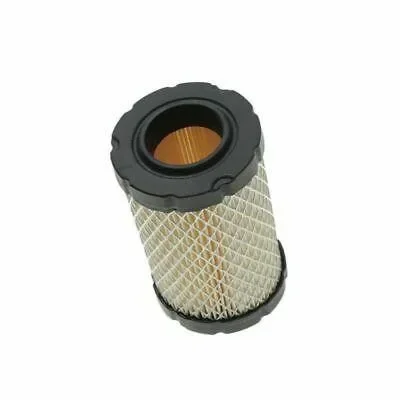 Filtro aria adatto per Brigg 31000 sostituisce 591334 796031 590825 594201 filtro aria ad alte prestazioni adatto per Brigg