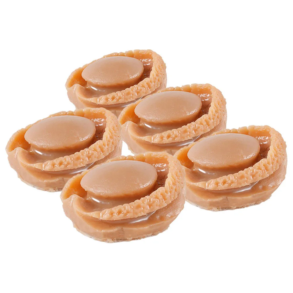 5 stuks Mini Abalone Voedsel Speelset Realistische Simulatie Heldere Kleur Decoratieve Craft voor DIY Keuken Scène Hars Nep Voedsel