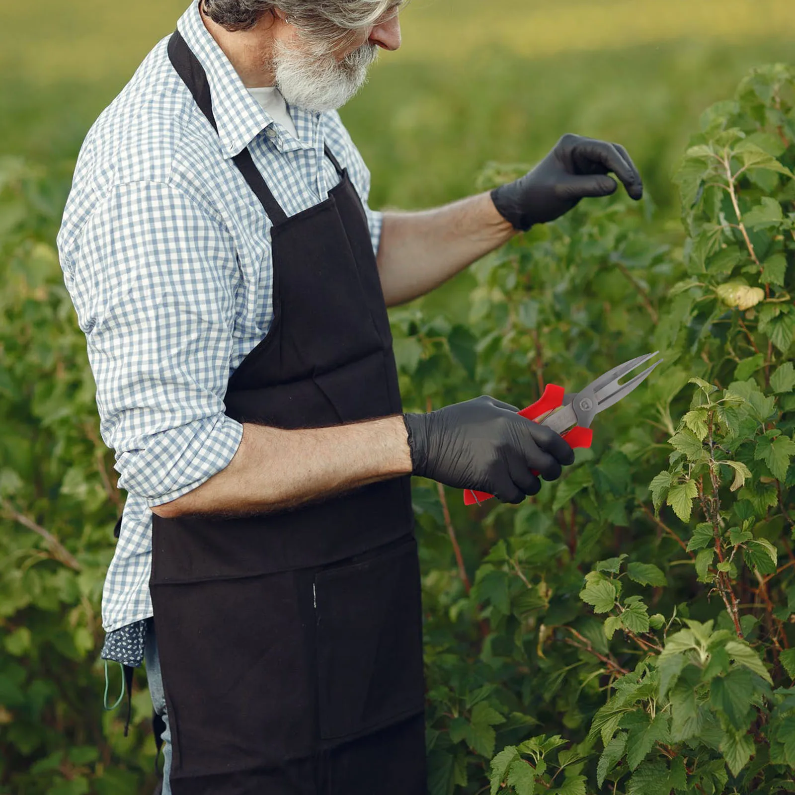 

Fruit Picking Scissors Pruning Shears Abs Stainless Steel Garden Orchard Vegetables Flowers Plants Double Mouth Design