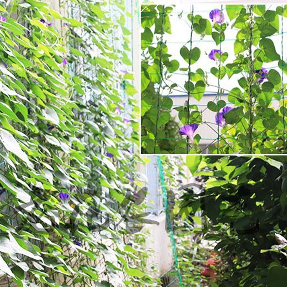 For Climbing Plant …