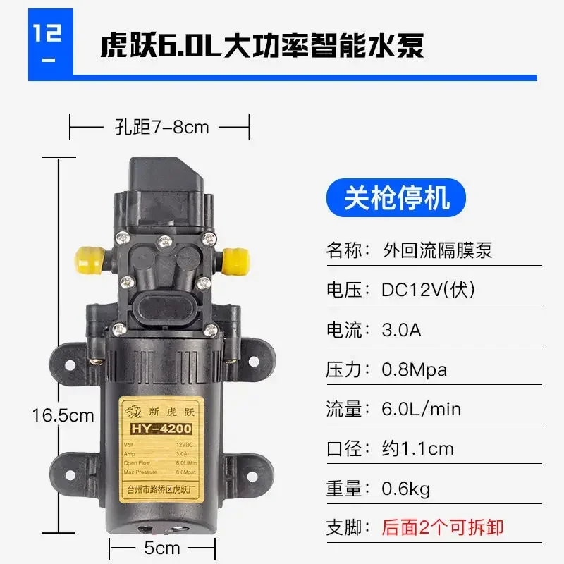 12 volt electric sprayer water pump motor agricultural high pressure diaphragm self-priming watering flower and pesticide pump