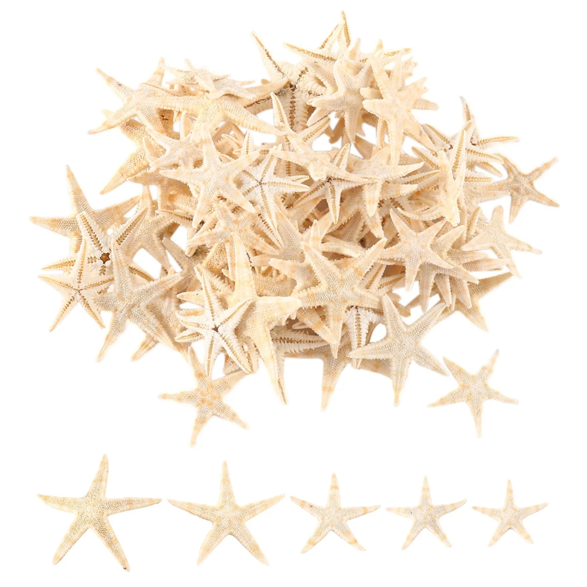 Small Starfish Star Sea Shell Beach Craft 0.4 inch-1.2 inch 90 Pcs