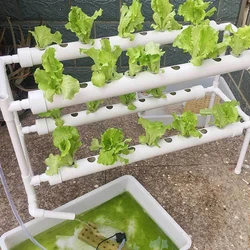 Hydroponic system Grow Kit 2 Layers 36/72-Hole Pipe Hydroponic Plant Grow Kit Hydroponic System Vegetable