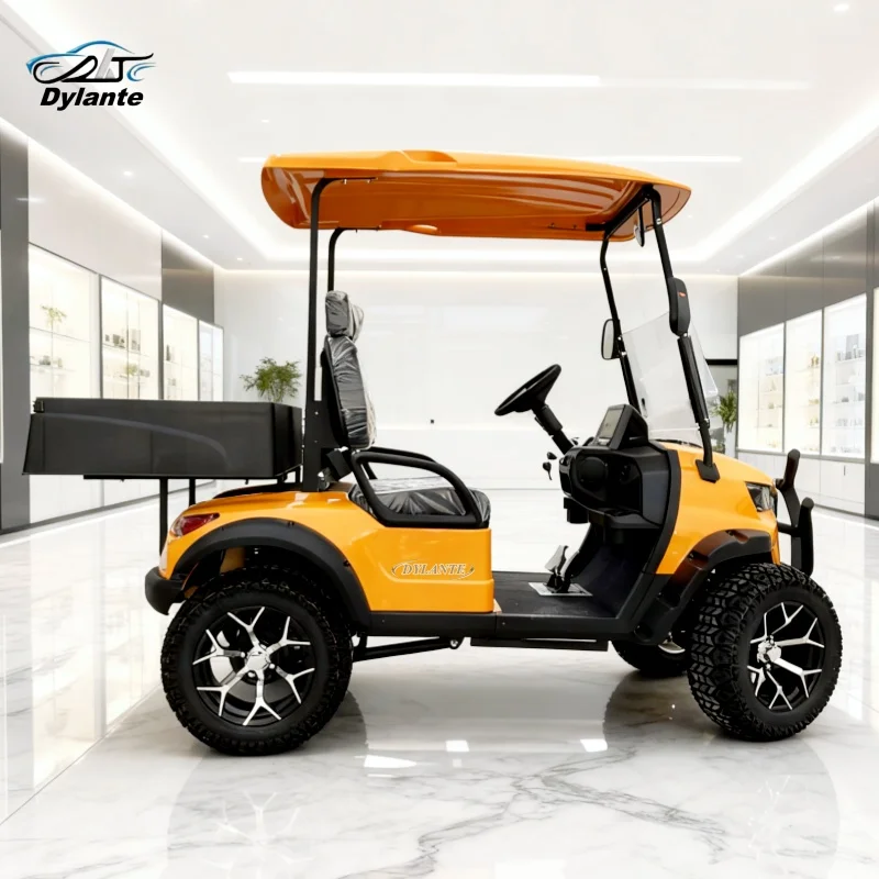 

Настраиваемая мини-двухместная электрическая тележка для гольфа 6 кВт, грузовая версия, тележка для гольфа для фермы, внедорожников и охотничьих целей