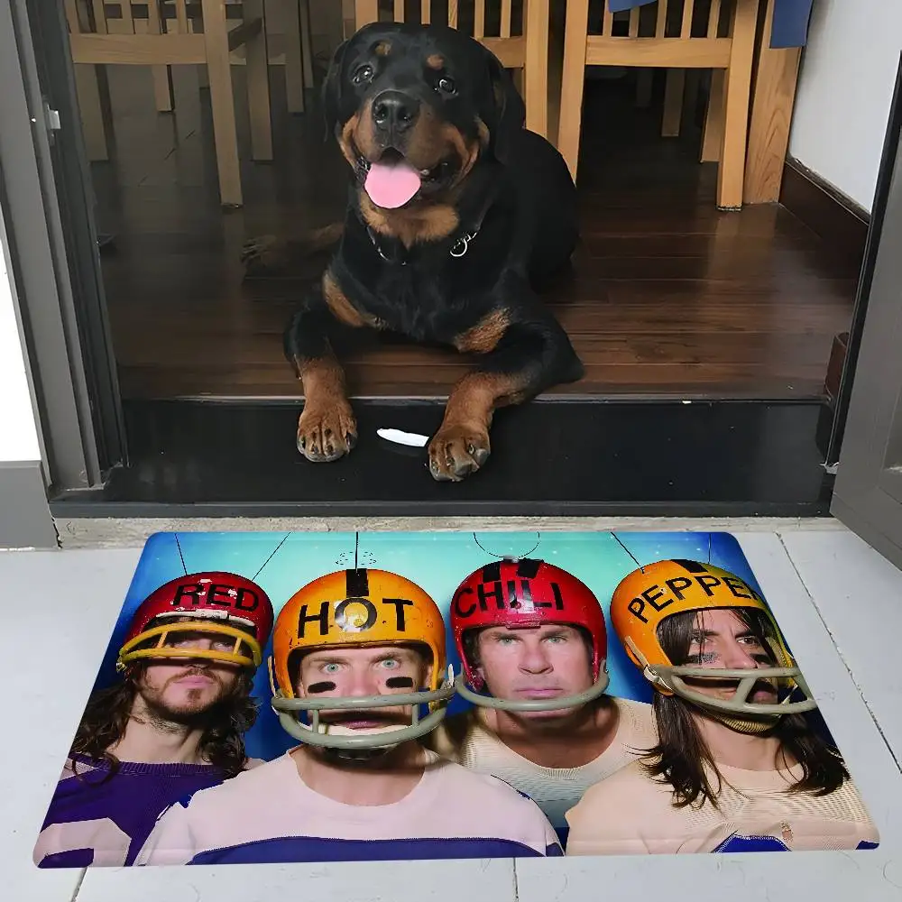 Popular Rock Band Red Hot Chili Peppers Music Album Cover Room Mats Cheaper Anti-slip Modern Living Room Balcony Printed Rug