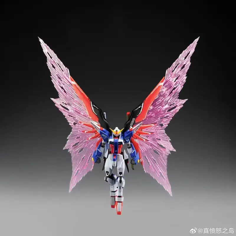 Figurine d'action robotique en plastique à assembler, modèle Hot 1/144 Destiny Zaft Alloy Skeleton Shinn Asuka Angry, pour adultes amateurs
