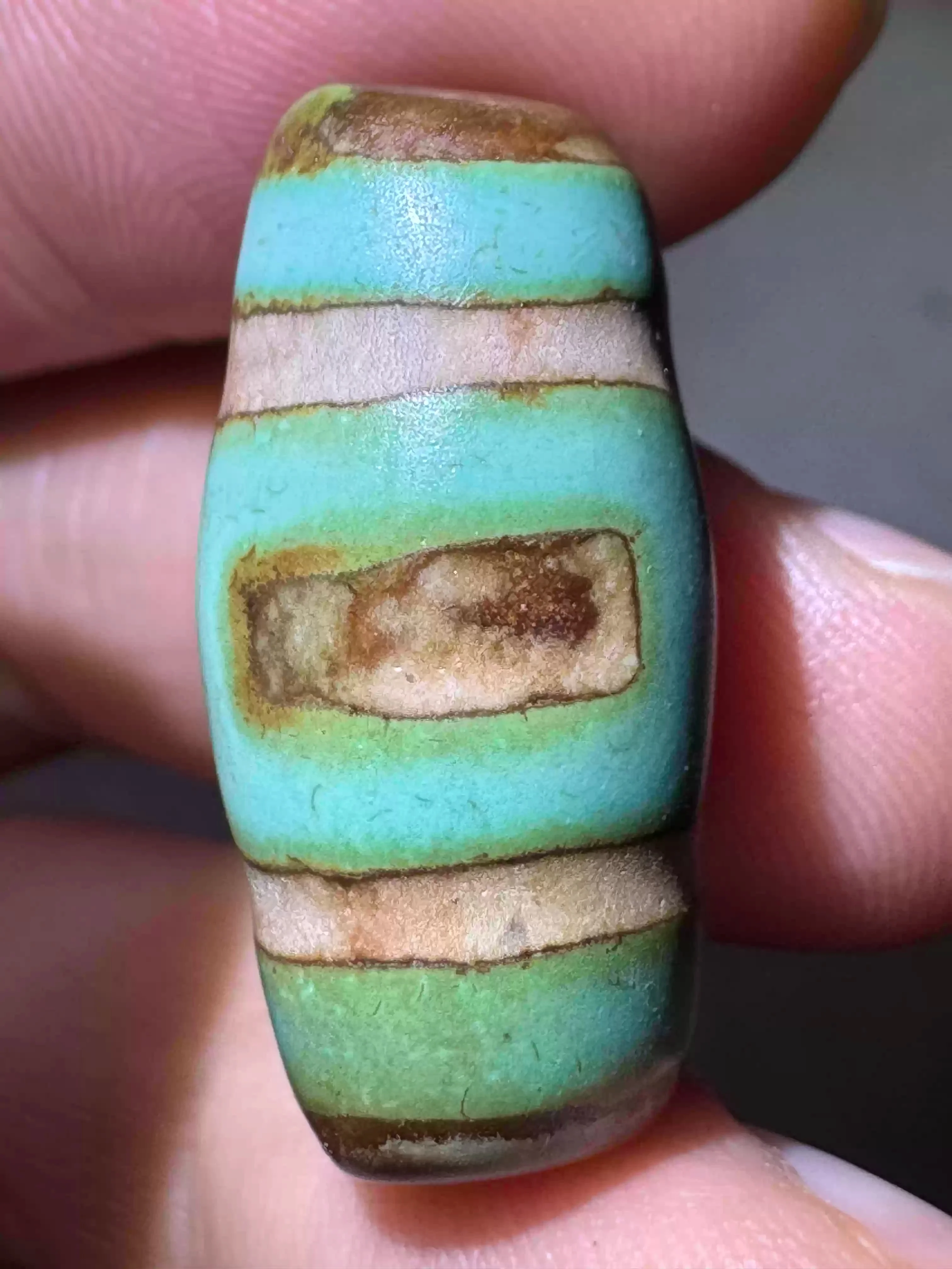 Traditional craftsmanship old material barley supplying dragon scale patterned snow region bead green calcified tiger tooth