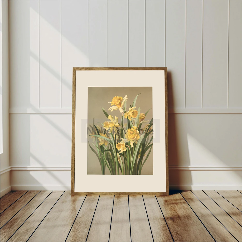Vintage Botanical Poster Cottagecore Farmhouse French Country Watercolor Prints Canvas Painting Wall Art Home Room Decoration