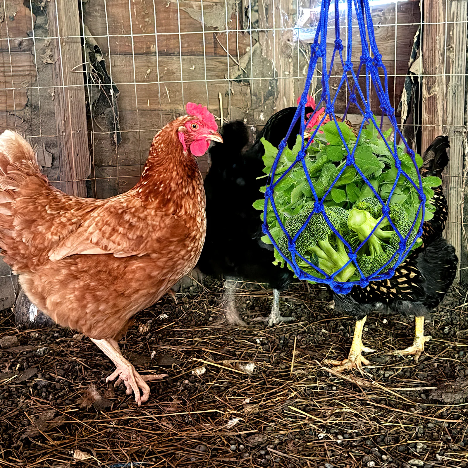 

Livestock Feeding Mesh Bag 64 Nylon Blue Durable Rabbit Poultry Feeders Hanging Food Container Strong Braided Rope Practical