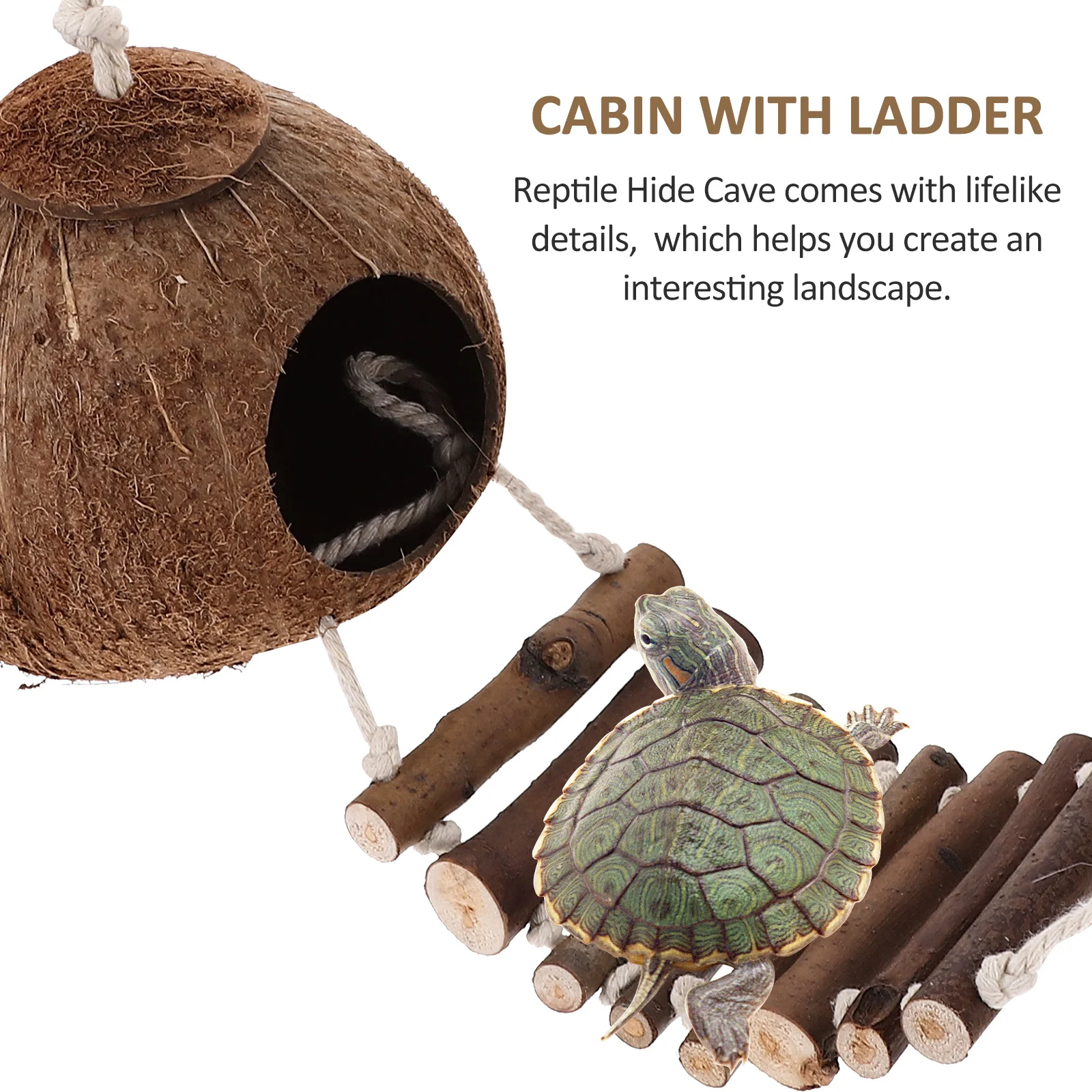 

Hermit Reptile Hideout Wood Shell Shaped Ladder Resin Terrarium Cave Wear-Resistant Habitat Supply Decorative Reptile