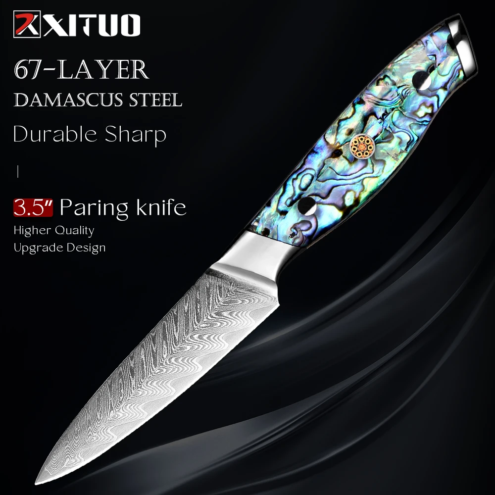 XITUO Damascus Paring Knife, 3.5 Inch Japanese Fruit Knife, Small Kitchen Knives for Precision Cutting, Full Tang Peeling Knives