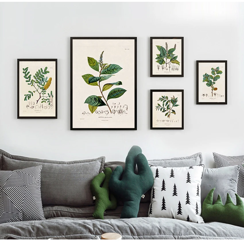 Canvas Painting Botany Wall Art Pictures Decor Botanical Studies Vintage Posters and Prints Antique French Plant Illustrations