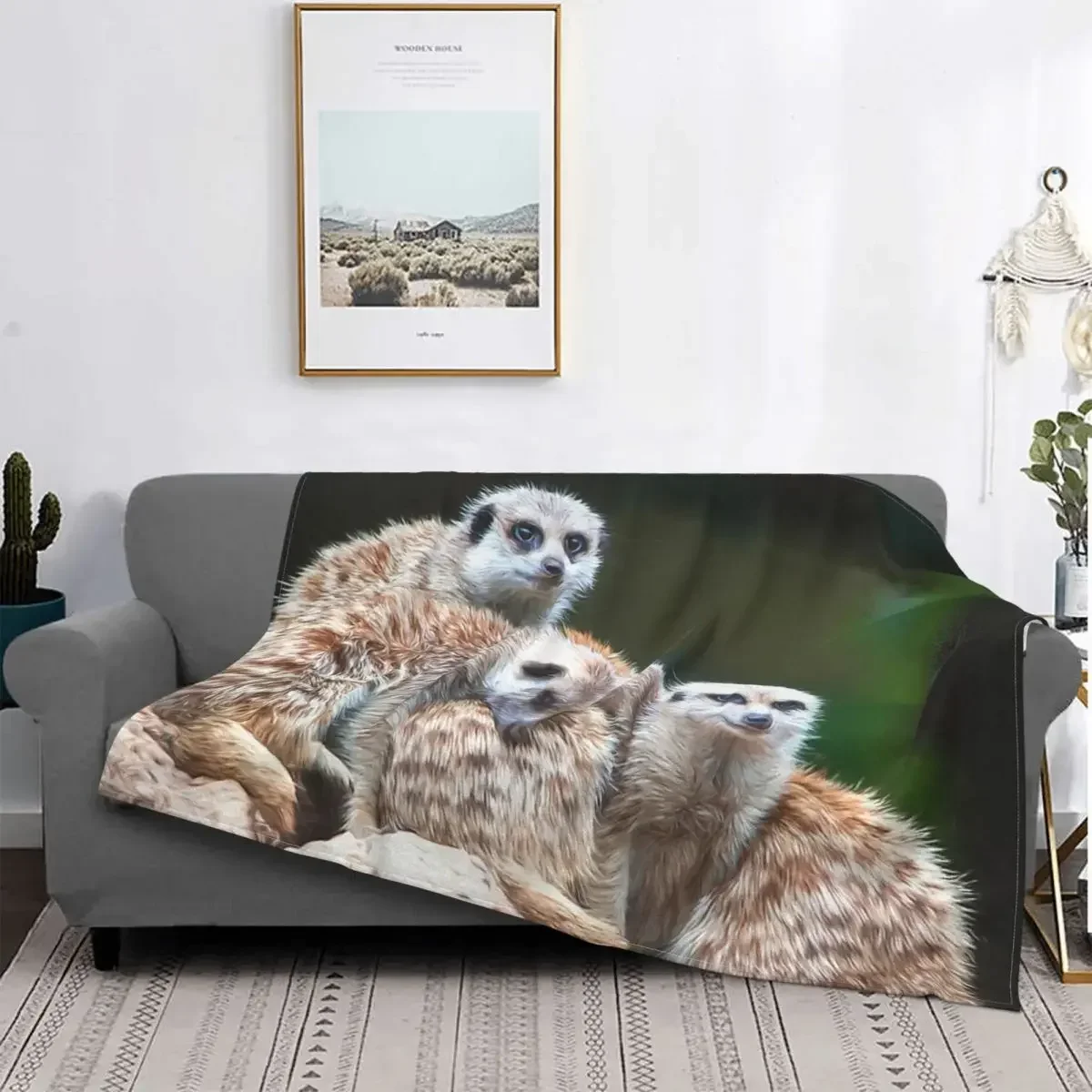 Meerkat Family Throw Blanket, Soft Cozy Throw Blanket Cute Meerkats Fuzzy Warm Couch Bed Blanket for Adult Youth Queen King Size