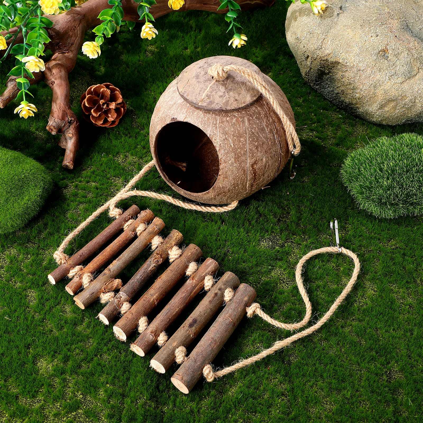 Decorative Reptile Hideout Natural Coconut Shell Shelter Ladder Lizard Turtle Habitat Reptile Terrarium Decor Lizard Hide Place