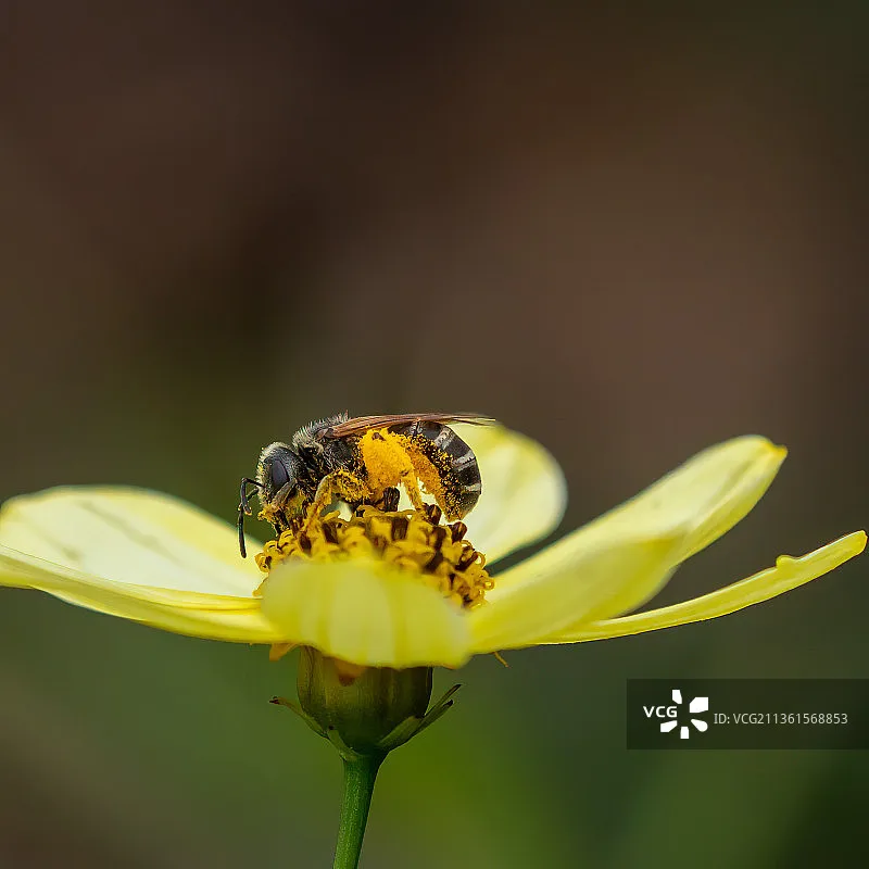 

Бесколлекторный двигатель EMAX XA2212 2212 820KV/980KV/1400KV 2-3S для радиоуправляемых мультироторных и самолетных моделей, фиксированного крыла, APC 8040 8060 9060 1047 1147