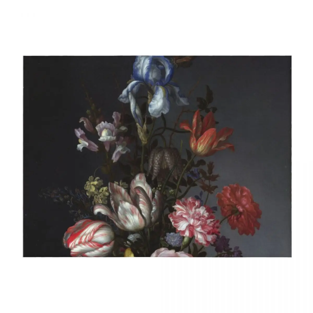 

Balthasar van der Ast: Flowers in a Vase with Shells and Insects Throw Blanket Vintage Flannels Picnic Designers Blankets