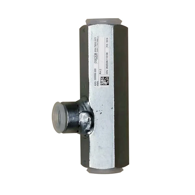 HAWE RH3 صمام فحص يعمل بالطيار في اتجاه واحد #3