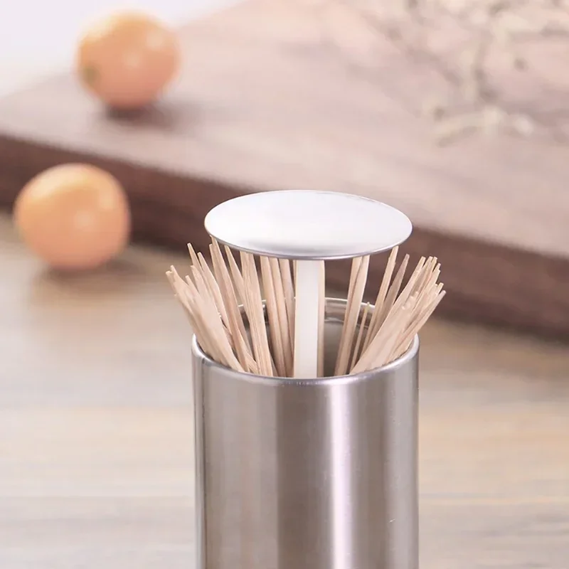 Stainless Steel Toothpick Holder Secret Stash Curing Dent Toothpick Dispenser Automatic Cotton Swab Organizer Decoration