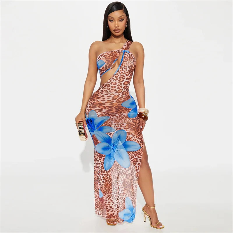 Robe longue moulante à imprimé Floral léopard pour femmes, asymétrique épaule dénudée, col incliné, maille transparente, fendue sur le côté, robes de soirée