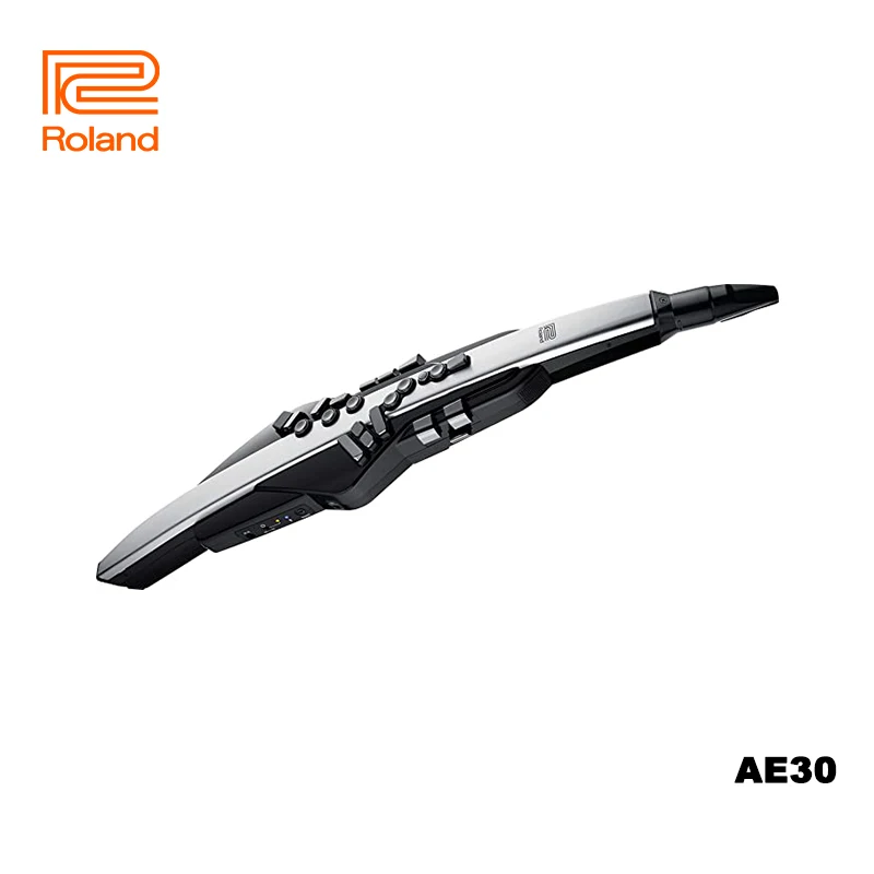 Roland AE30 Aerophone Pro Digital Wind Instrument, Professional-Grade with Refined Design, AE-30 , Roland AE 30