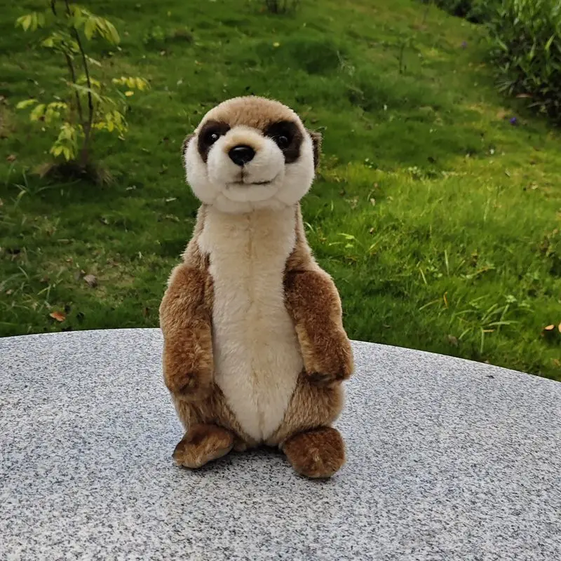 シミュレーション動物人形マングースぬいぐるみ超かわいい猫動物人形ギフト早期教育小道具-23-センチメートル-dy10350