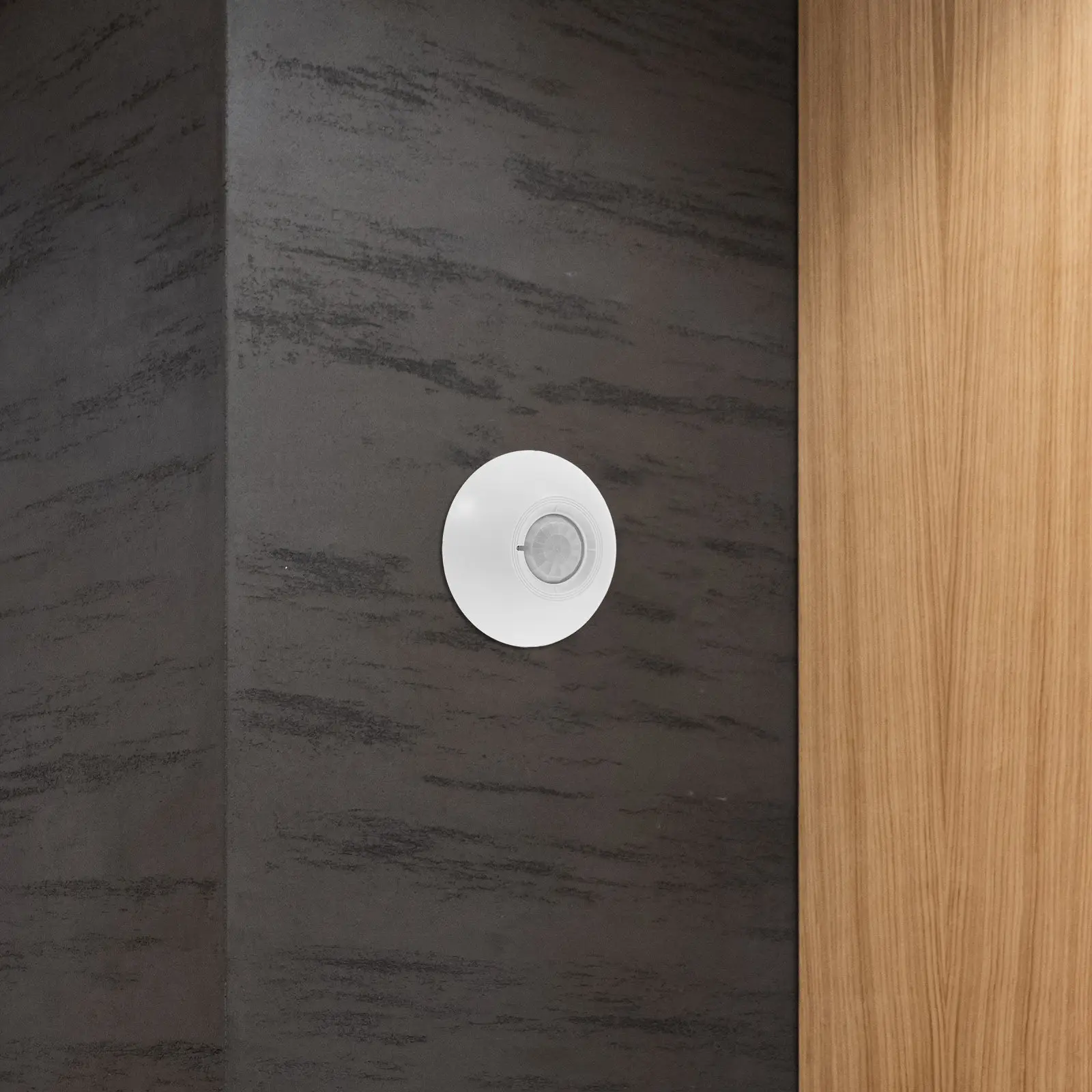 

12V Infrared Motion Alarm 360 Degree Passive Detection for Home Factory Security High Sensitivity Mount