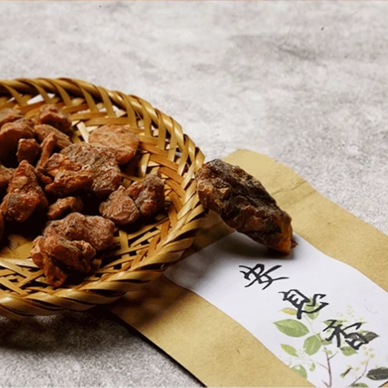 Indonesia Old Tree … - image