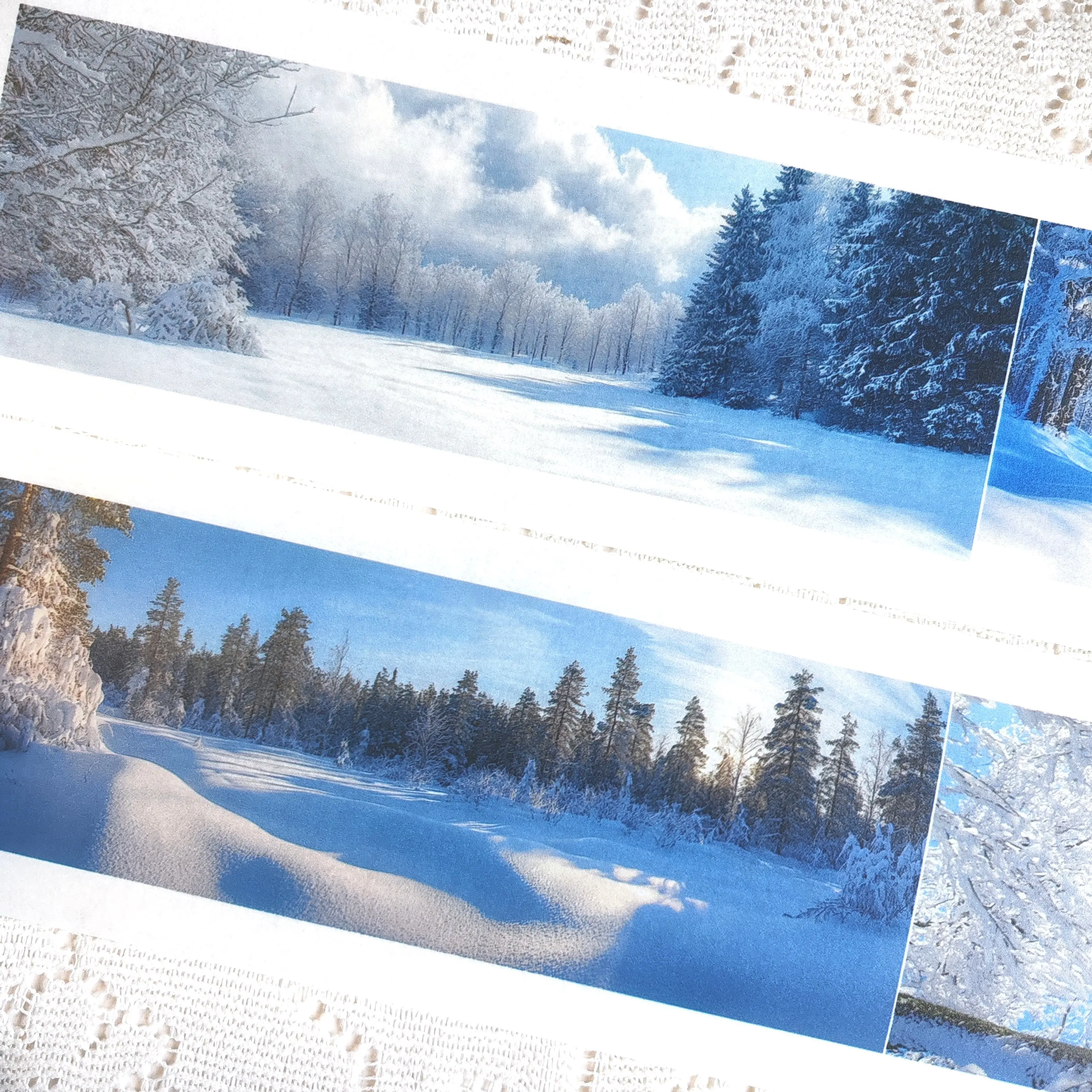 Pet Tape Journal Li…