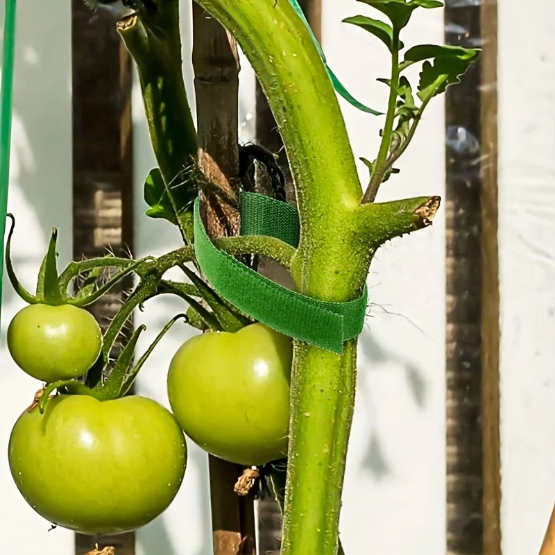 5pcs 39.37in self-adhesive plant ties - green flexible horticultural support, suitable for vines, stems, and cables.