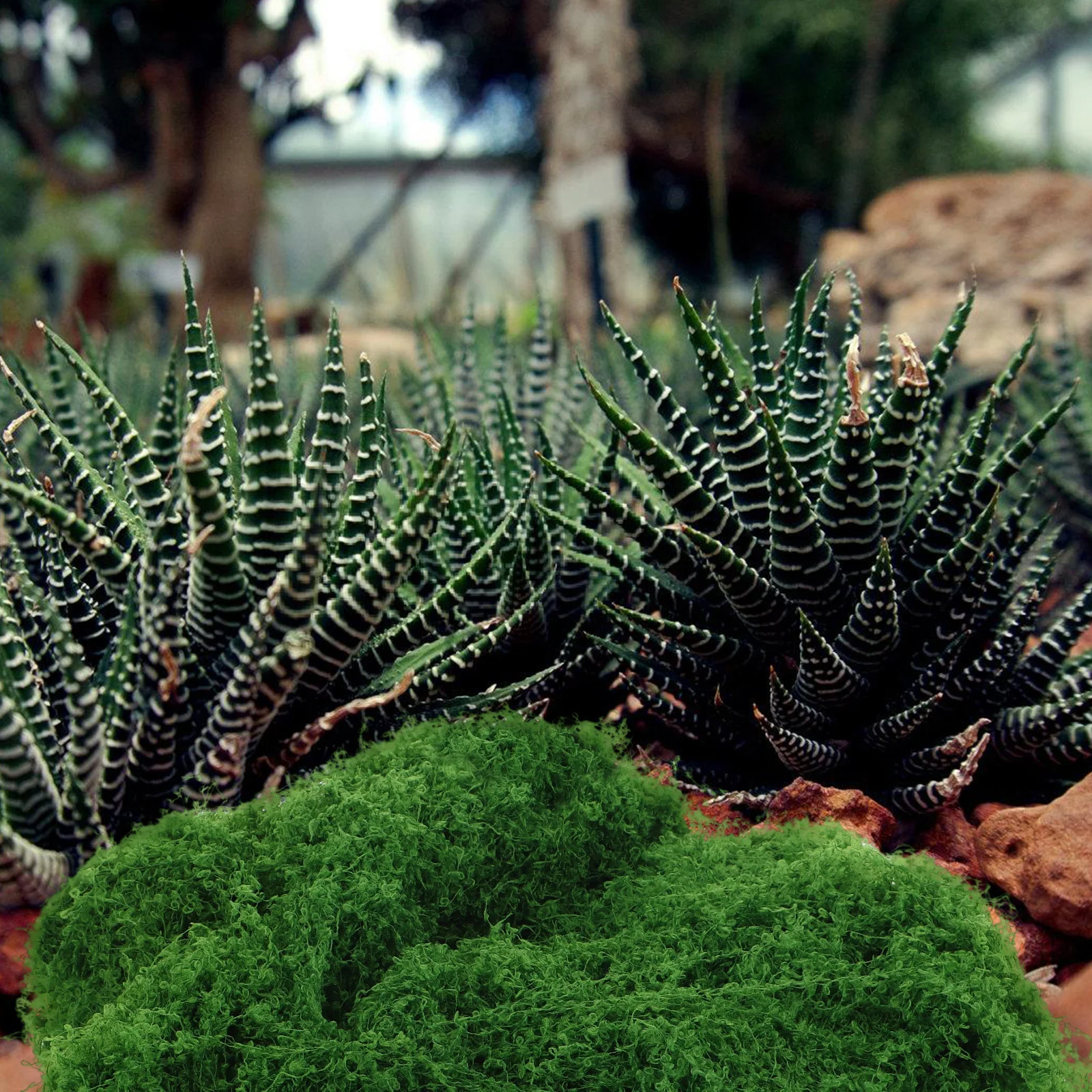 

Artificial Moss for Crafts Realistic Fake Moss Sheets for Micro Landscape Bonsai Plant Terrariums Decoration Landscape Decor