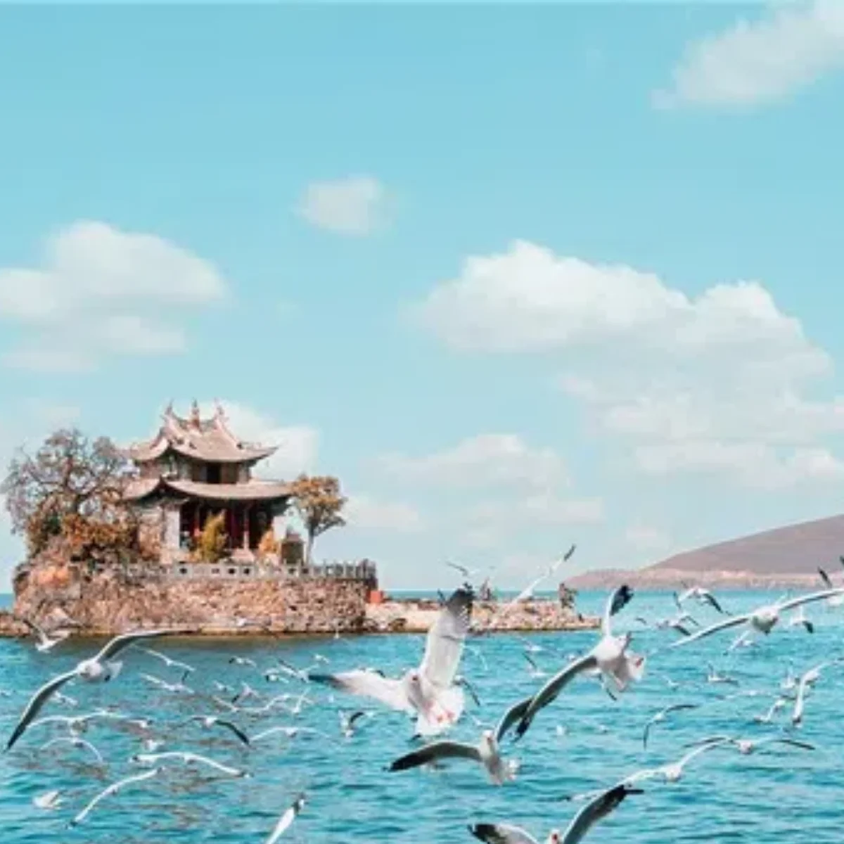 

Машина Venus Legacy, технология радиочастотной терапии и магнитного поля, подтяжка кожи, коррекция фигуры, вакуумное сжигание жира, удаление целлюлита