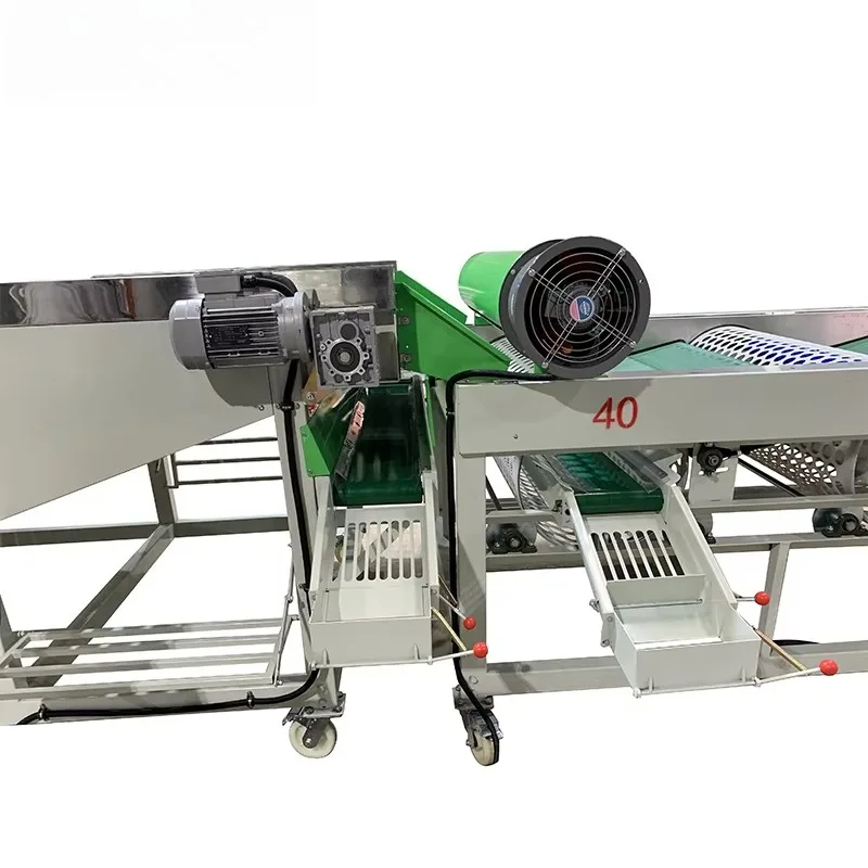 آلة فرز حجم الثوم الرقمية المتقدمة، معالجة دفعة صغيرة من الدرجة الغذائية