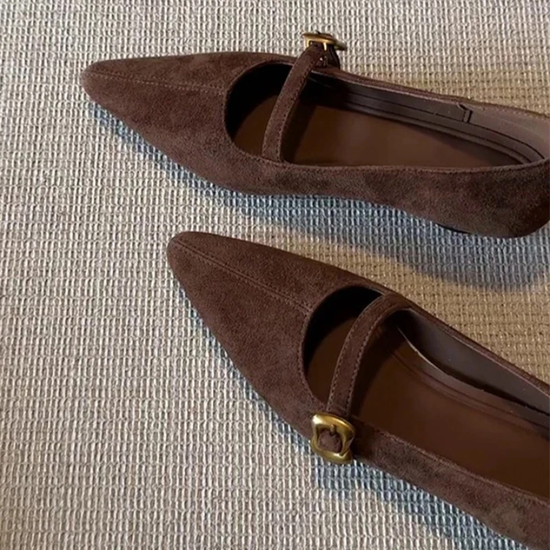 

Pointed Toe Women's Heeled Shoes Sexy Chunky Suede Shoes 2026 Spring Luxury Dress Shoes Shallow Designer Party Zapatos De Mujer