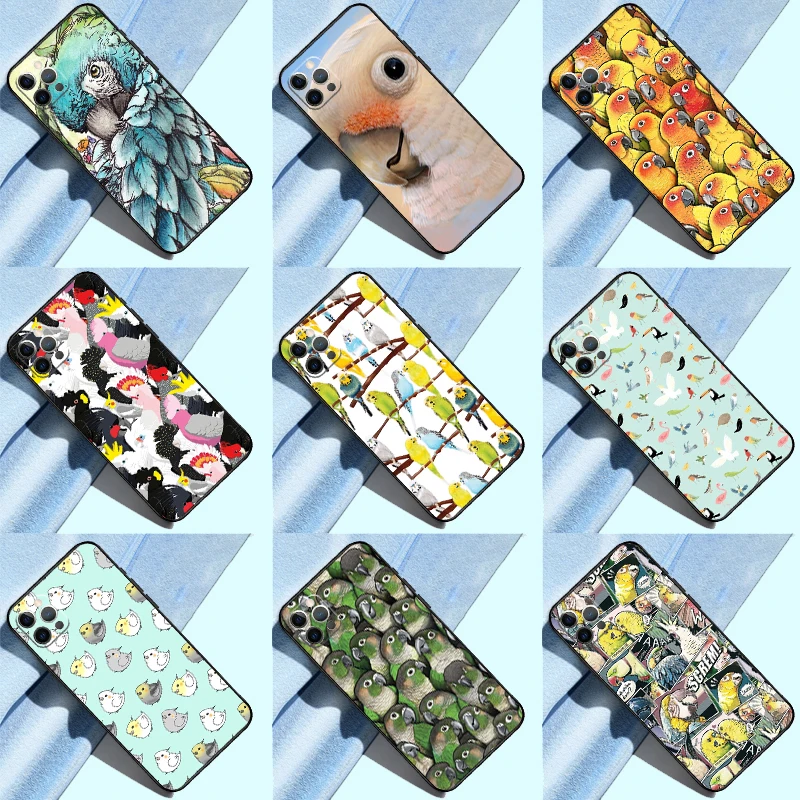 Animal Parrot Bird … - image