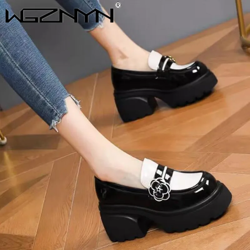 NEW Luxury Designer Brand Mary Jane High Heels Womens Platform Loafers Gothic Black Single Shoes Women Japanese JK Uniform Shoes