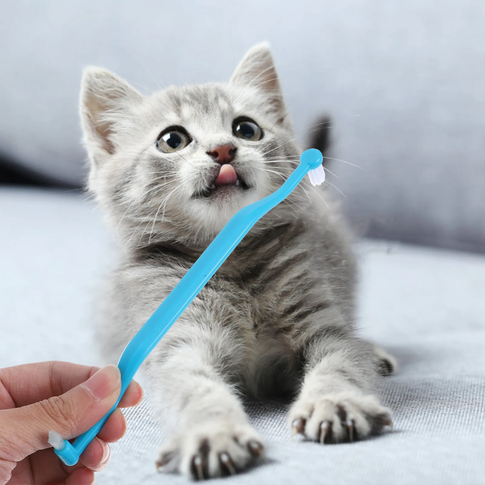Double-Sided Dog Toothbrush for Pet Dental Care – Dual-Headed Grooming Tool for Cats & Dogs