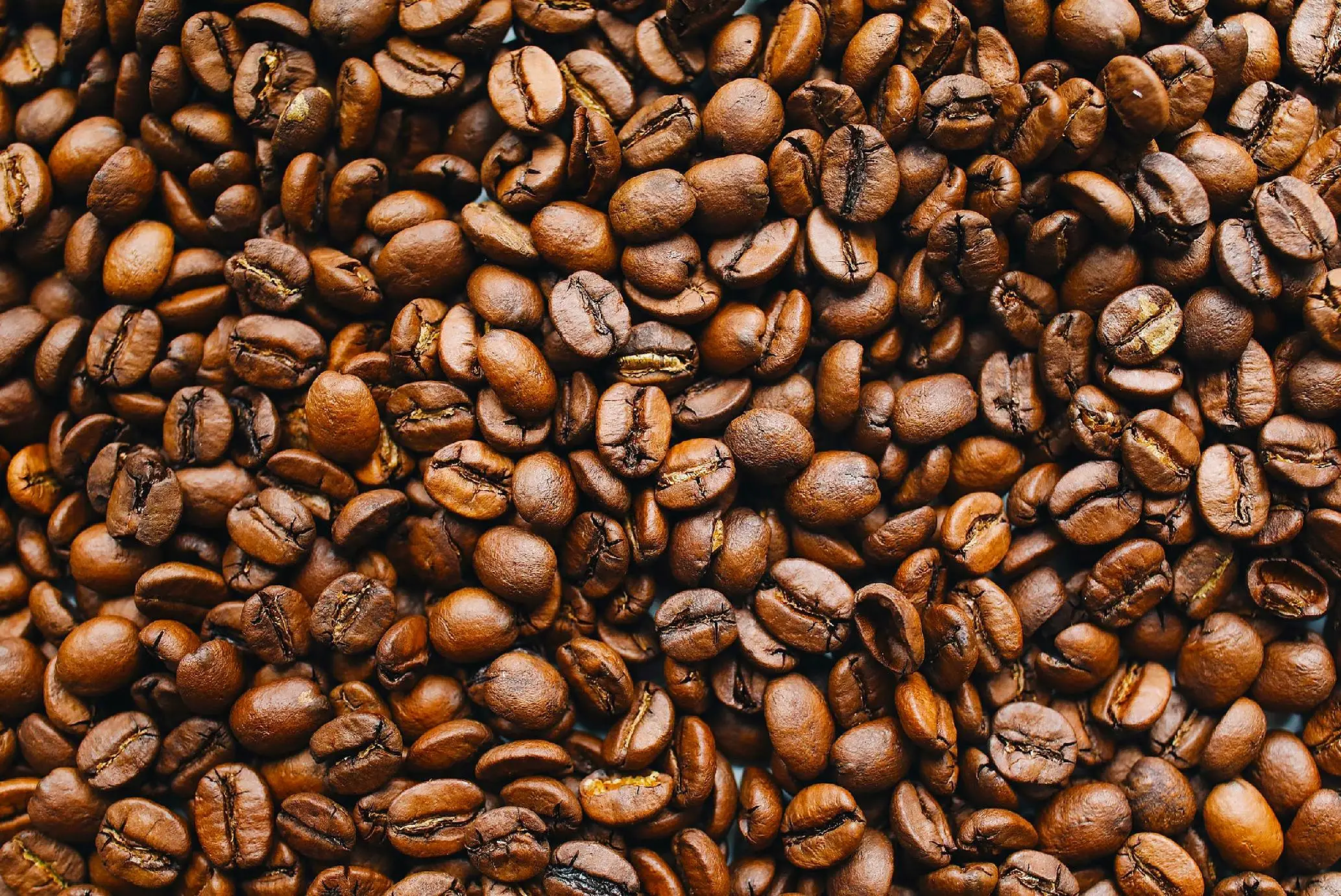 حبوب قهوة برازيلية ، محمصة طازجة ، حديقة كيوي ، 2 × 1 كجم #5