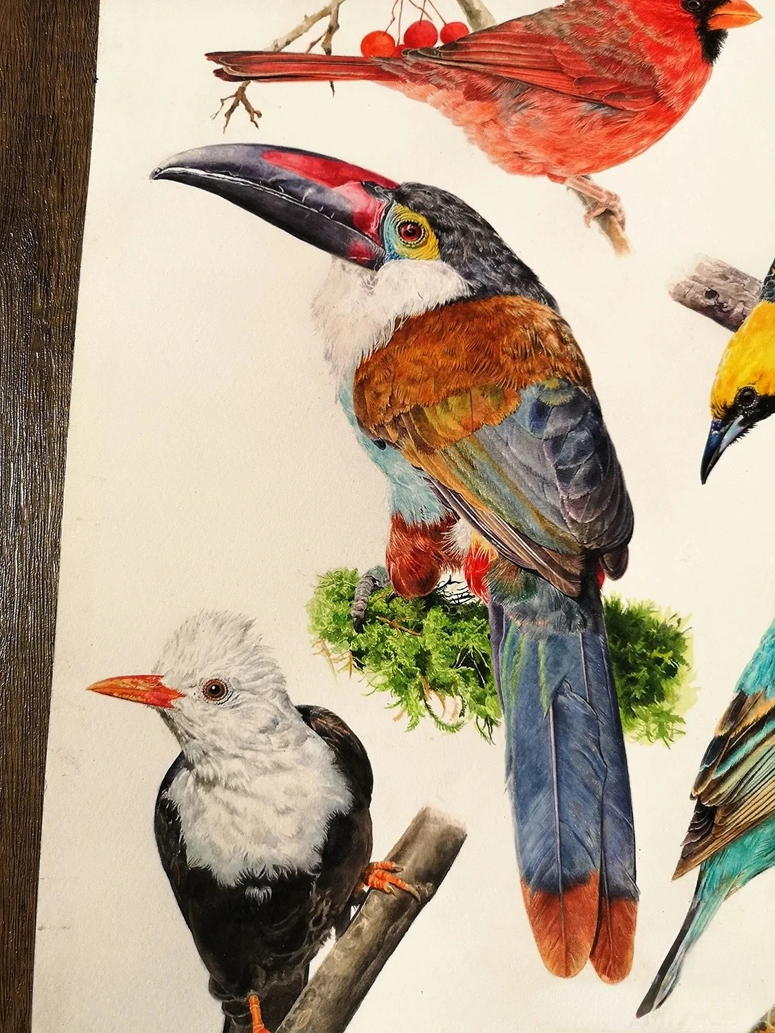 مجموعة الرسم الصيني المصنوع يدويًا مكونة من 12 لونًا - ألوان مائية احترافية بألوان ثابتة، مثالية للرسم والتوضيح