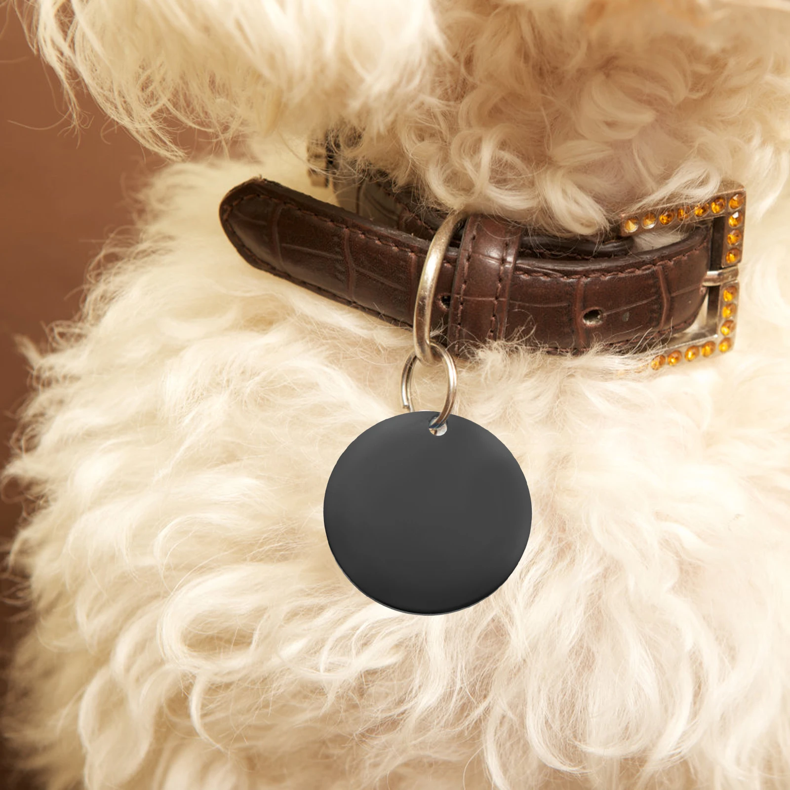 

6pcs Stainless Steel Round Id Tags Dog Name Badges Engravable Metal Keychain Blanks For Pet Collar Durable Reusable