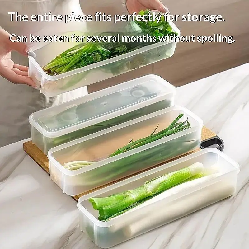 New Clear Plastic Fridge Herb Storage Container BPA Free Fresh Keeping For Storing Cilantro Scallions Vegetables Home Kitchen