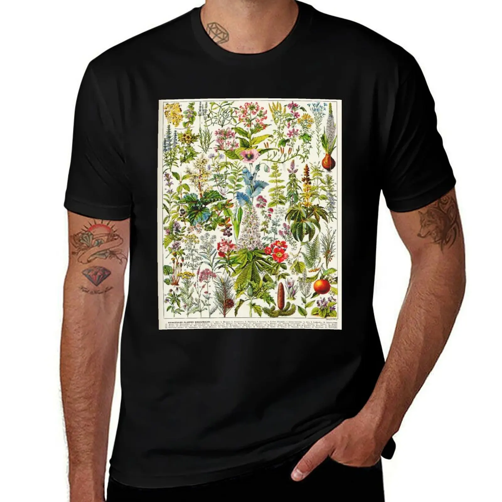 

Adolphe Millot - Plantes Medicinales 01 - Vintage french botanical illustration T-Shirt heavyweights men t shirts