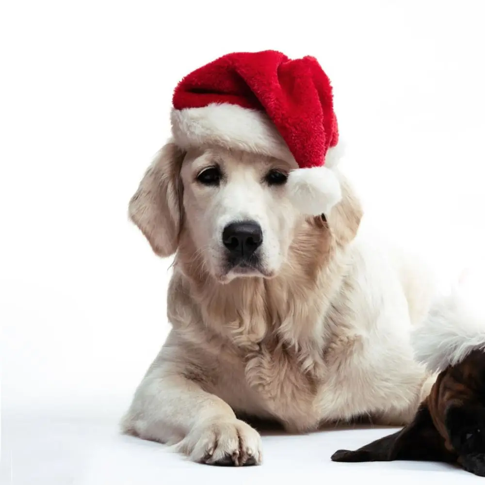 Cute Red Color Pet Santa Hat Warm Material Cat Party Hats Soft Fabric Adjustable Strap Puppy Winter Headwear Pet Costume Event